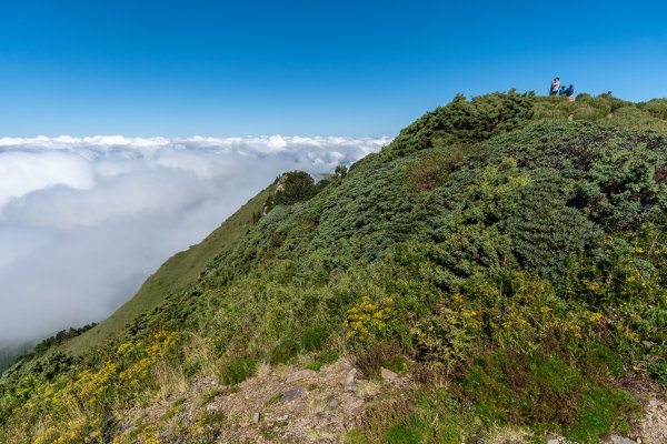 合歡主峰雲海之舞1129382