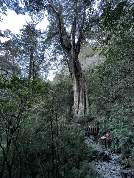 北大武稜線雲海景觀3010133