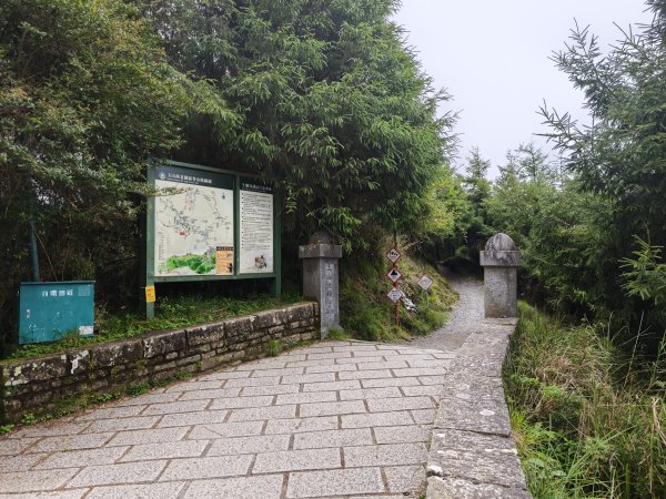 [山海圳_聖山之路_第二段4/4] 2026_0802 菊池氏龜殼花 (聖山之路國寶蛇)3109289