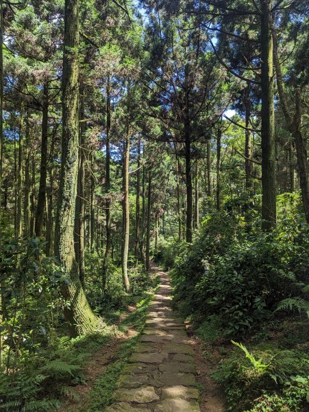 臺北大縱走第三段：小油坑至風櫃口2282599