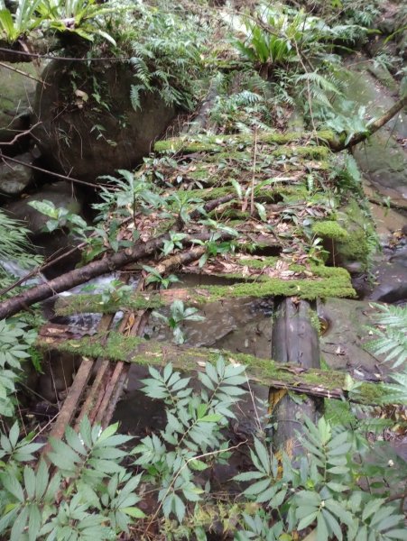 雷公埤山-鱷魚島觀景-小格頭獅頭山2001526