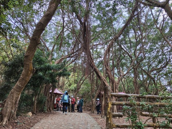 2023.12.24 高雄壽山2835313