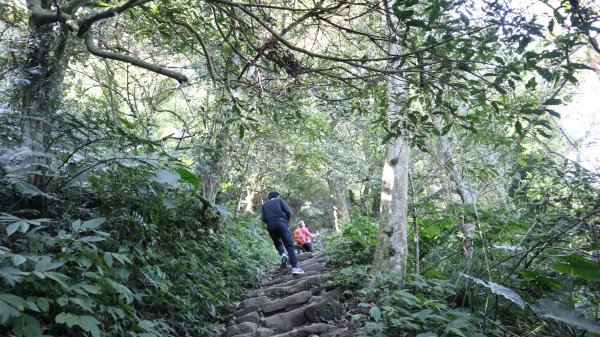 溪洲山登山健行趣(小百岳26號)2069712