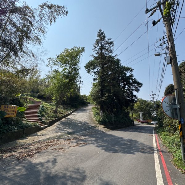 20250308古坑後棟山涼亭、挑筍古道2730495