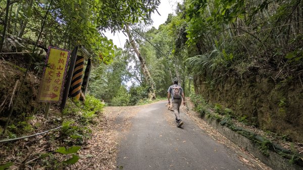 115.05.23枕頭山-枕頭山西峰-薑母島之旅3061268
