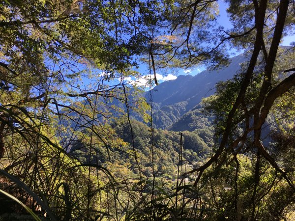 20161119_谷關七雄之四-波津加山873764