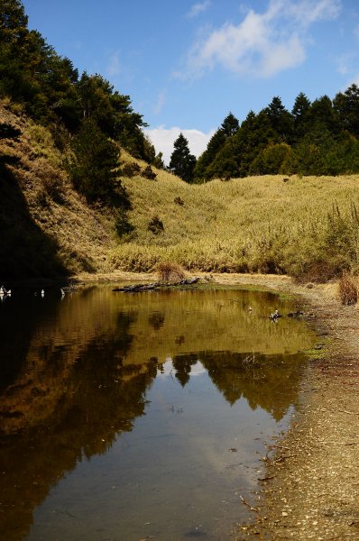 武法奈尾山天巒池872522