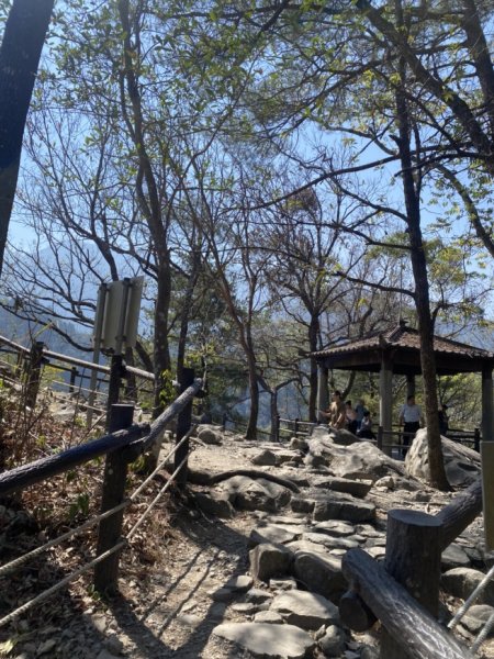 1131006二刷波津加山3093231