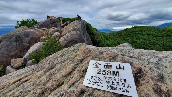 北市大崙頭山 金面山1728295