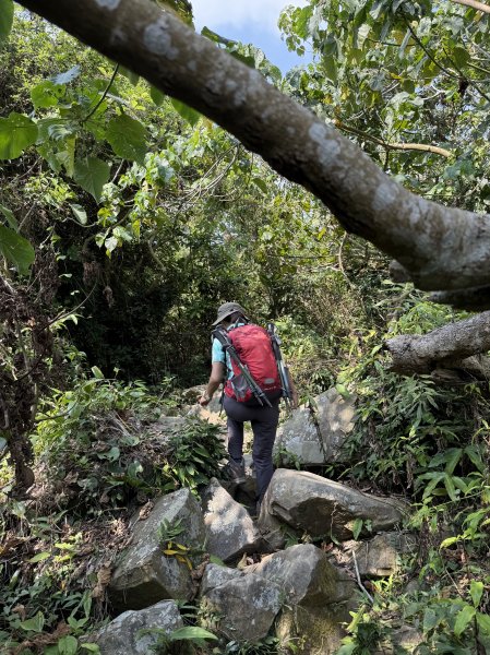 烏山縱走半程 (雲山寺~刣牛湖山) 來回 202504272773721