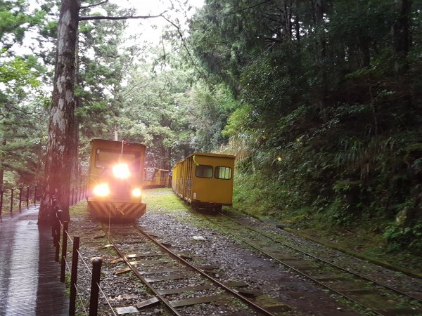 【新聞】太平山「蹦蹦車」軌道下邊坡崩塌 暫時停駛109年1月10日起恢復局部通車