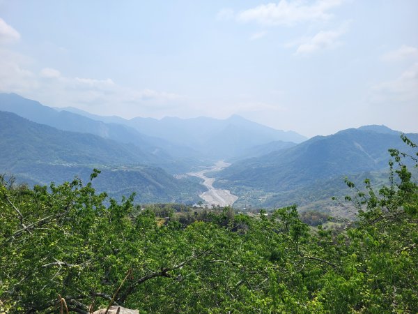 2026.03.30 茶園、梅園、視野都極美的玉打山觀景臺3073621