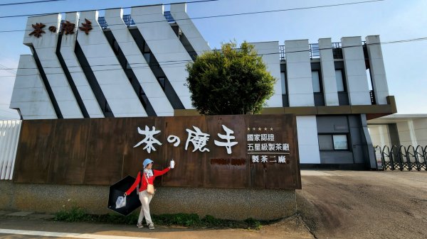 南投松柏坑山，登廟步道，賞茶步道，七星陣地公園，日月潭，彰化石牌坑古道1804676