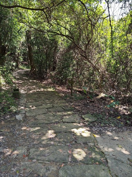 台北大縱走第五段 捷運劍潭站至碧山巖2800512