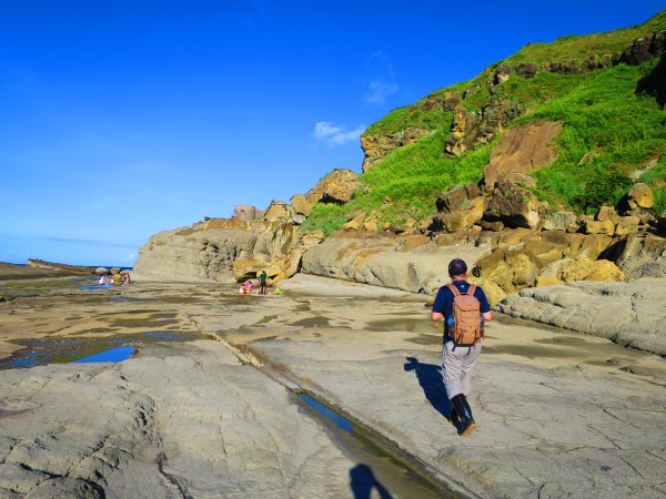 看海最美的神秘步道：到基隆大坪海岸尋找海豹岩2443170