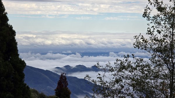 美到爆，觀霧國家森林遊樂區檜山巨木群步道2677770