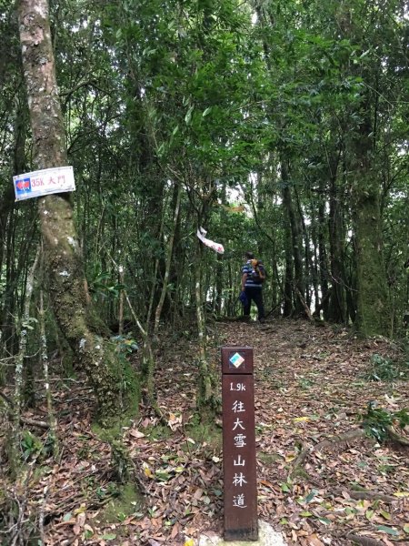 大雪山稍來南峰434698