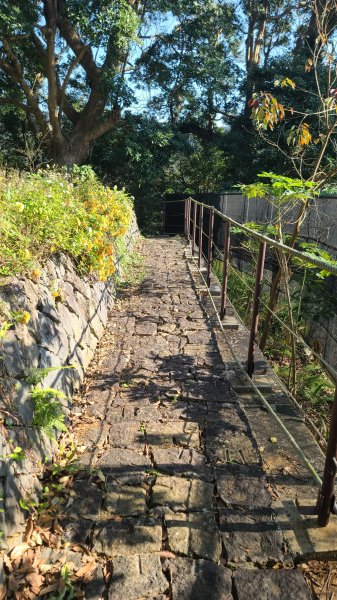 2025-0130溪和宮-大崎頭步道-鵝尾山-平溪步道-鵝尾山水田-42巷-溪山百年古圳-平菁步道2701974