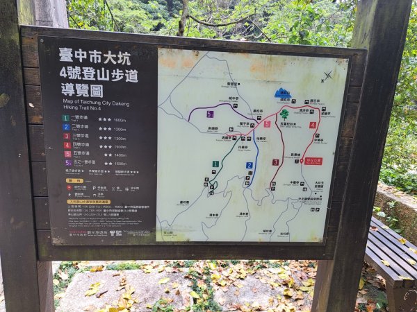 台中大坑第4,9,10號步道3120347