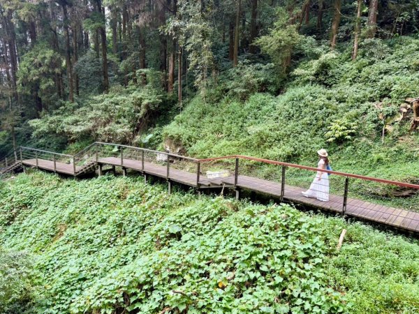 奮起湖 奮起步道  老街 老老街