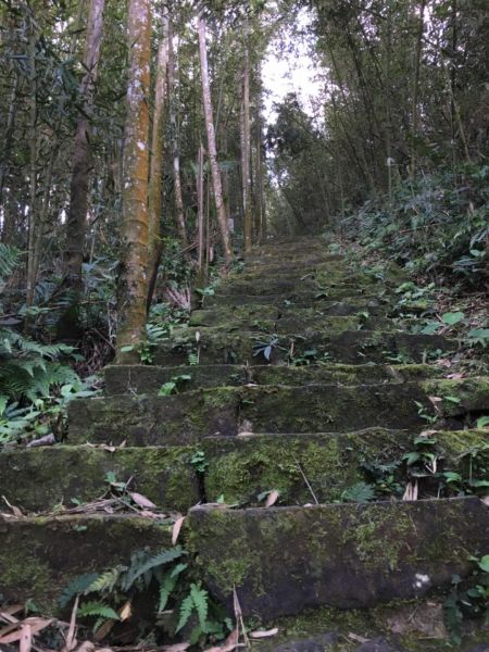 雲林大尖山、二尖山步道341058