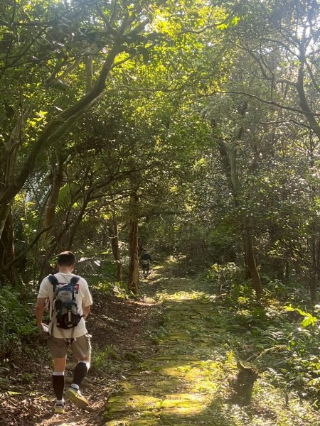 土城頂埔捷運站-大暖尖山-火焰山-承天路-石壁寮溪棧道-永寧捷運站2896453