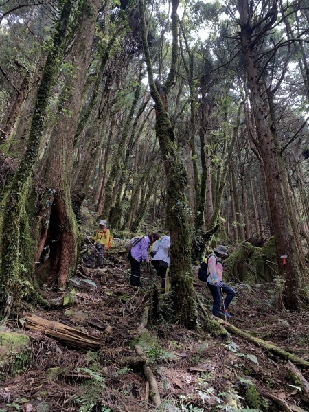 20250517義義兒玉山-東水山2791708