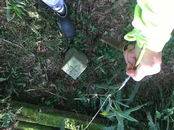 六寮崙山、雞罩山、白雞山8字走2371090