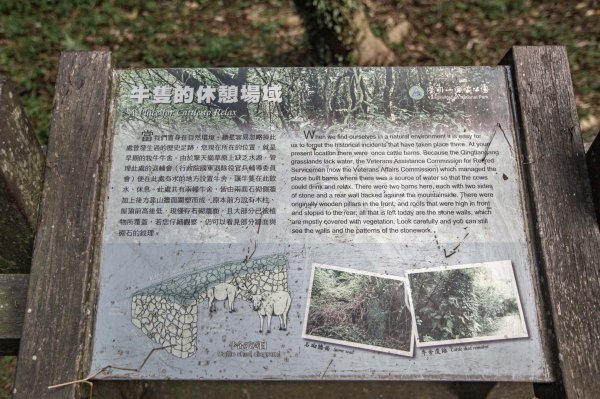 台北大縱走第三段：小油坑-風櫃口（珍貴的火山地質教室）1668686