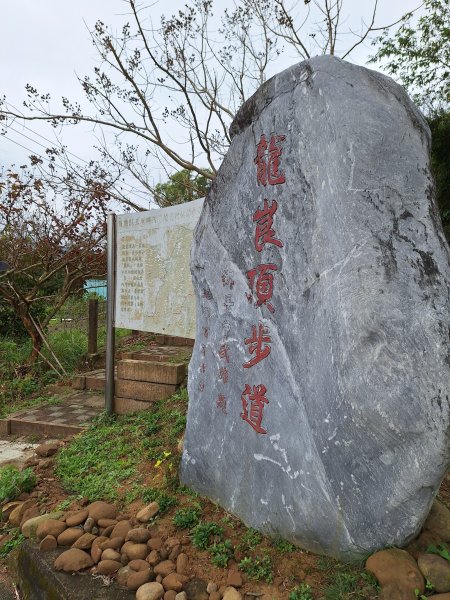 三灣龍峎頂步道+三連埤步道+老銃櫃步道O型走202403032446344