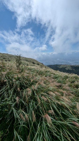 113.10.27大屯山主峰-二子山西峰-二子山東峰2638822