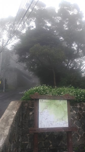 忠義山貴子坑步道510006