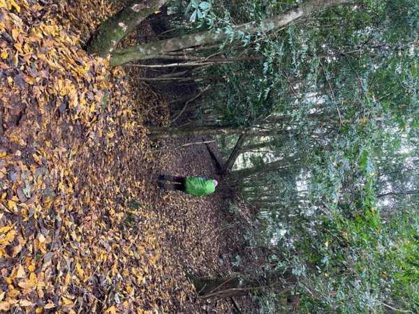 霞喀羅古道-石鹿進-白石駐在所兩天一夜2683891