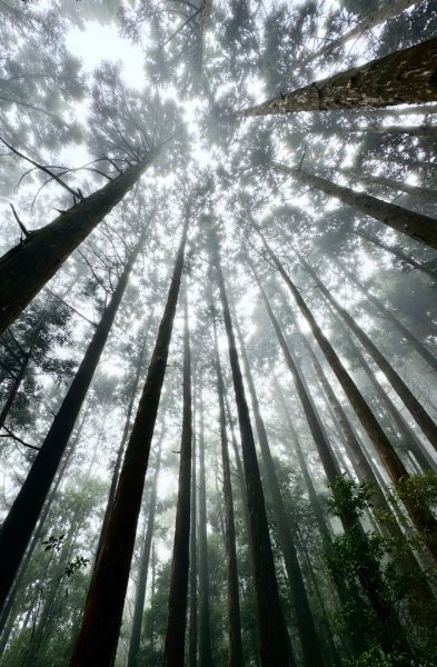 清泉 雪霸農場 野馬瞰山2925939