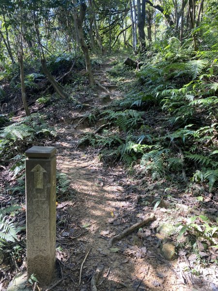 2025微笑山線大縱走尋寶集章任務-Ep.04【天上山系】望月亭桐花段｜石門內尖山東峰 ×石門內尖山2979155