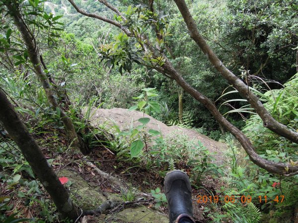 20190609_月扇湖山841487