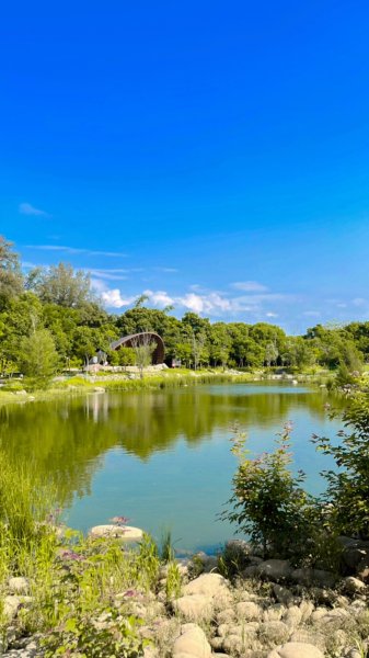 大湳森林公園2817297