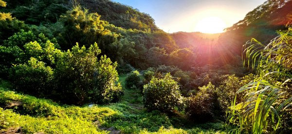 四獸山大縱走，虎山，豹山，獅山，象山，林口太平濱海步道，桃園龜山（貴山，龜山頭山），老坑溪步道1964728