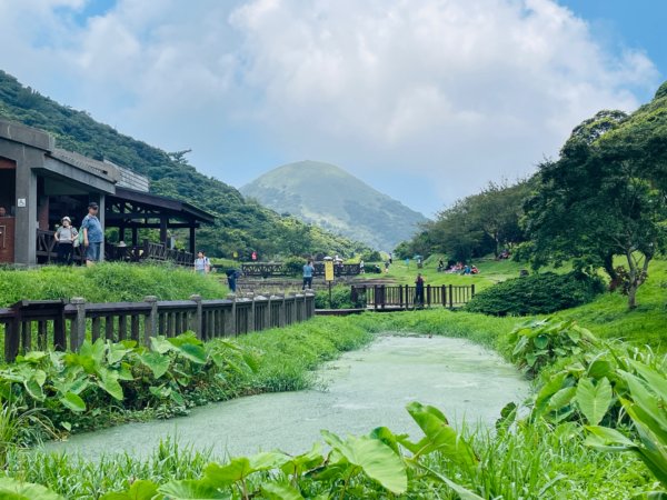 1130804面天山-向天山2567332