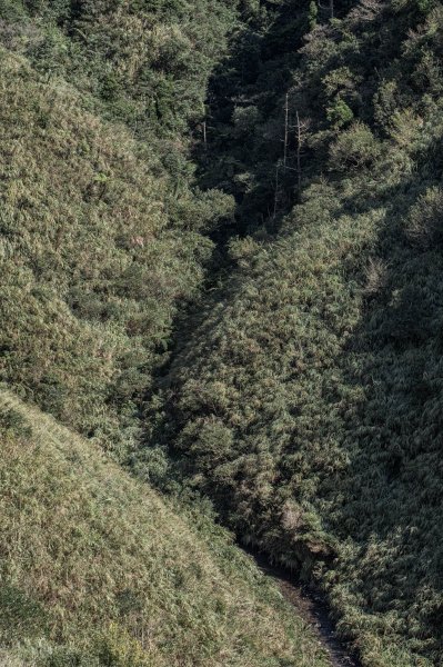 從新北走到宜蘭-坪溪古道 & 石空古道1839483