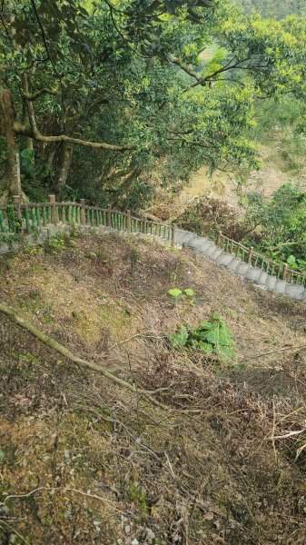 2025-0310臺北大縱走第七段2737275