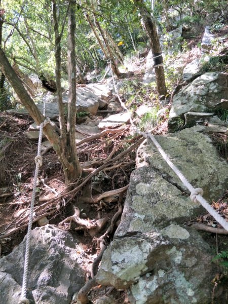 谷關七雄：屋東縱走-屋我尾山-麗陽上1491955