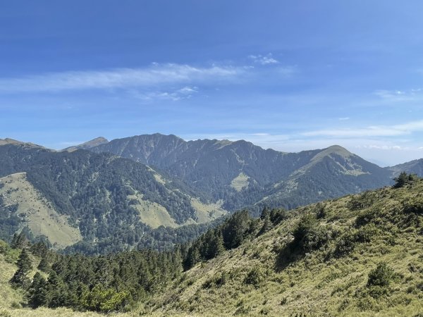 合歡北、西峰(三訪)113.04.212492808