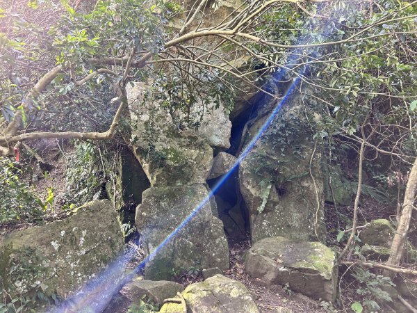 桃園金面山2752280