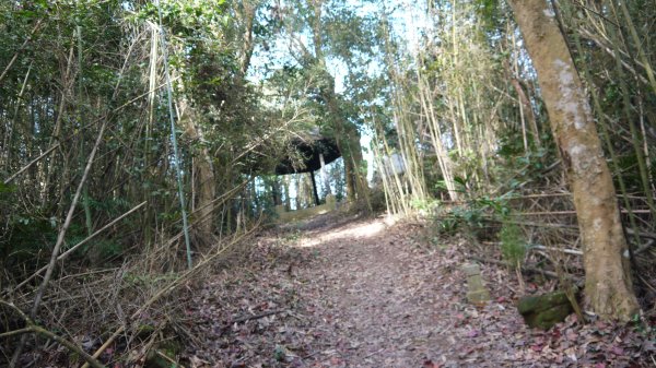 出關古道登山健行趣(步道)1579328