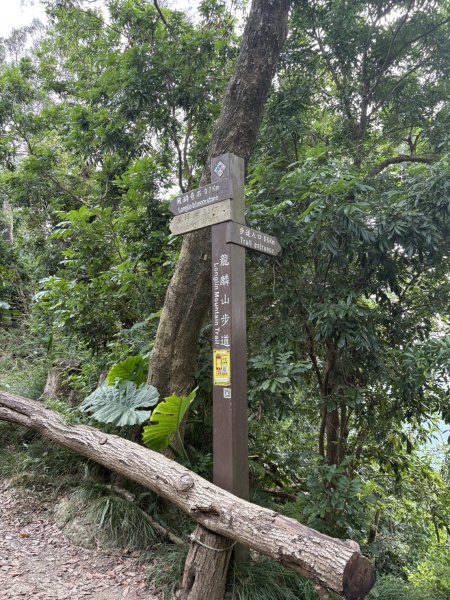 20251010南化龍麟山步道2914993