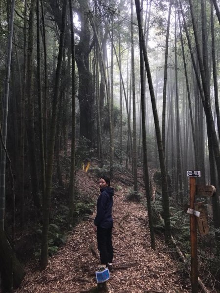 181022金柑樹山、忘憂森林步道442164