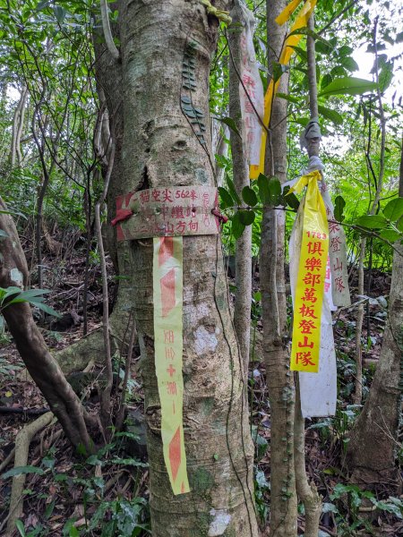 鵝角格東峰 鵝角格山 六分山 四面頭山 貓空尖 十六分山 三玄宮山2006146