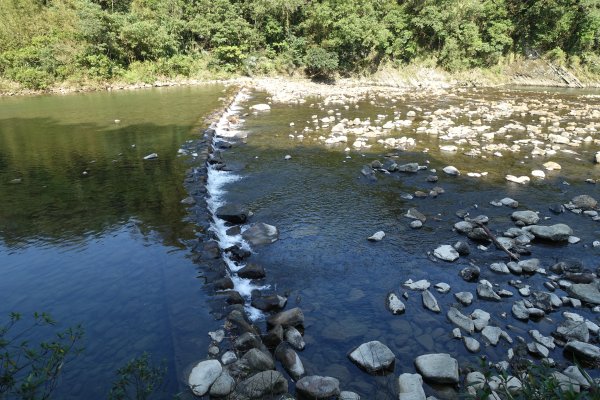 大舌湖步道 虎寮潭3086041