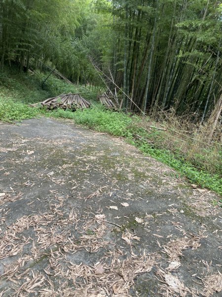 溪頭山竹崙山志騰山3061600